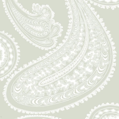 Rajapur Wallpaper - Chalk on Soft Olive - 95/2063