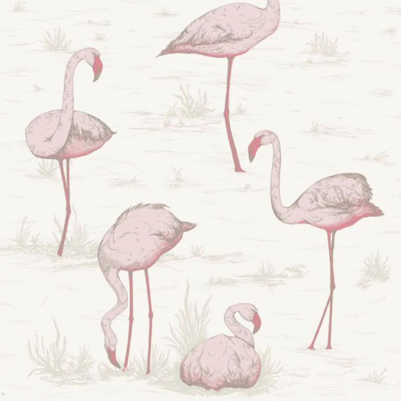 Flamingos Wallpaper - Blush & Cerise on White - 95/8045