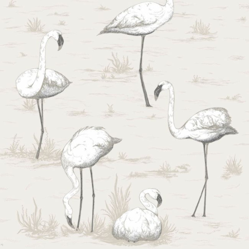 Flamingos Wallpaper - Chalk & Soot on Snow - 95/8046