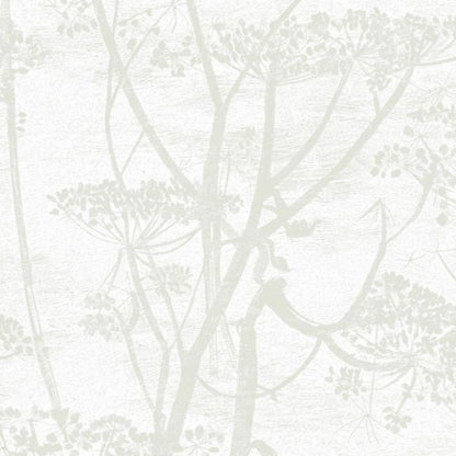 Cow Parsley Wallpaper - Chalk and Parchment - 95/9052