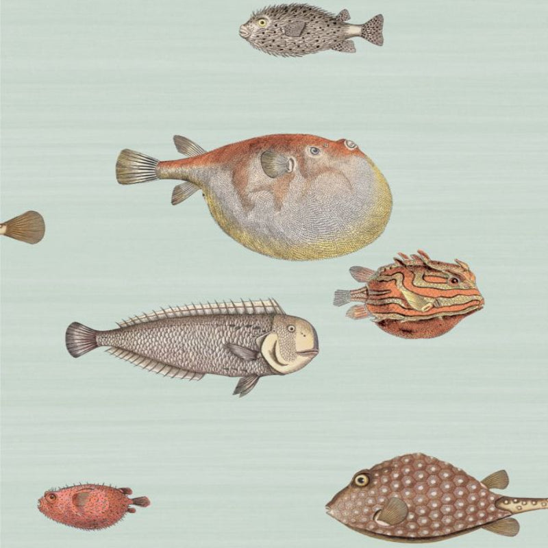 Acquario Wallpaper - Print Room Blue - 97/10030