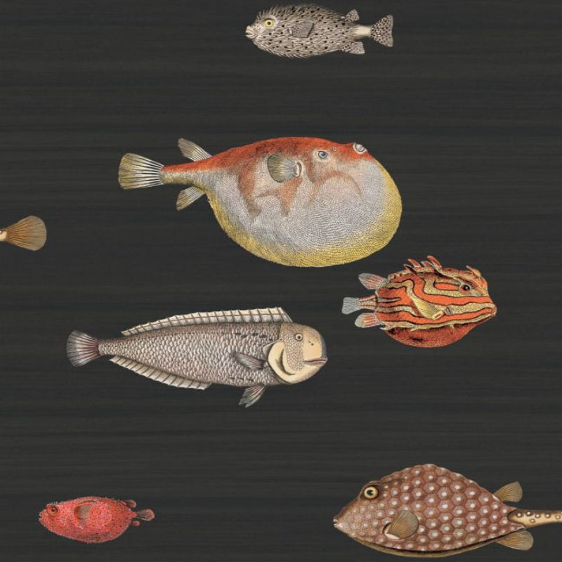 Acquario Wallpaper - Charcoal - 97/10048