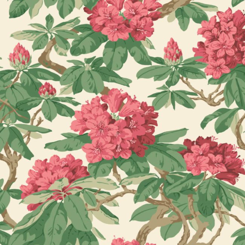 Bourlie Wallpaper - Cerise, Leaf Green on White - 99/4019