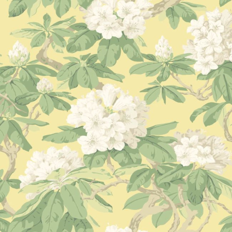 Bourlie Wallpaper - White, Leaf Green on Lemon - 99/4021