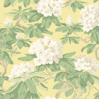 Bourlie Wallpaper - White, Leaf Green on Lemon - 99/4021