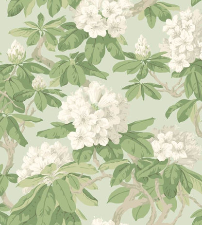 Bourlie Wallpaper - White, Olive Green on Duck Egg - 99/4022
