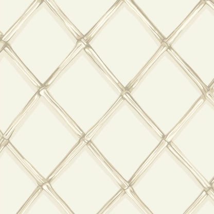 Bagatelle Wallpaper - White - 99/5023