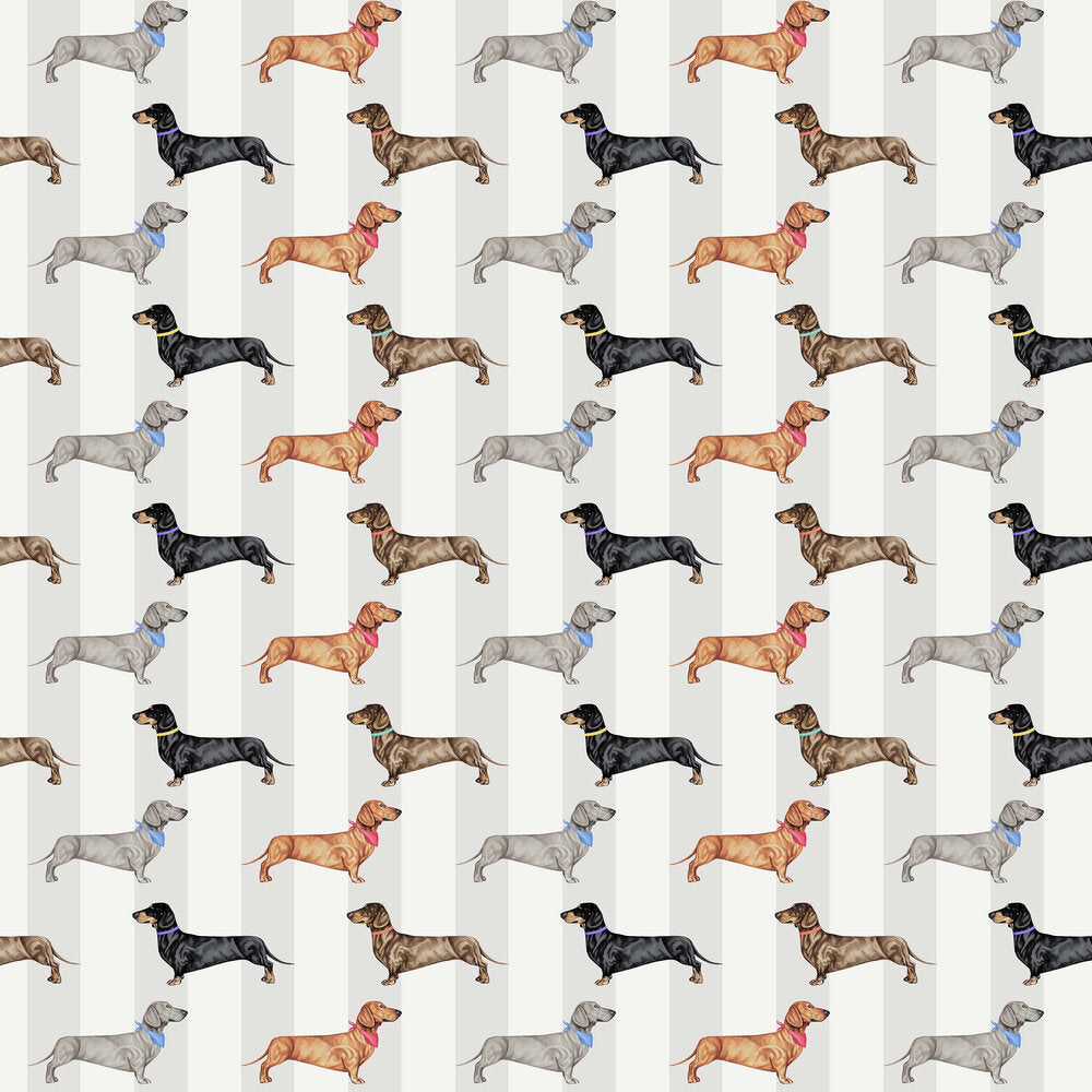 Dachshund Wallpaper - Natural - The Graduate Collection