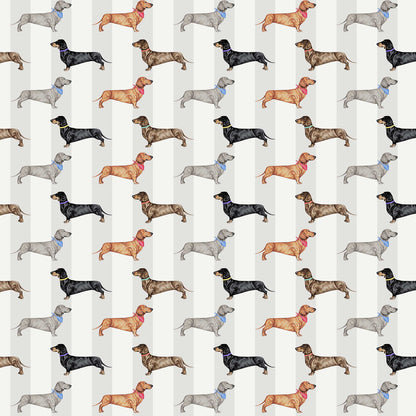 Dachshund Wallpaper - Natural - The Graduate Collection