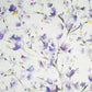 Belsay Heather Fabric