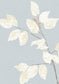 Beech Wallpaper - Cirrus
