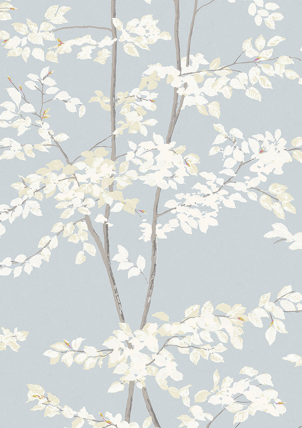 Beech Wallpaper - Cirrus