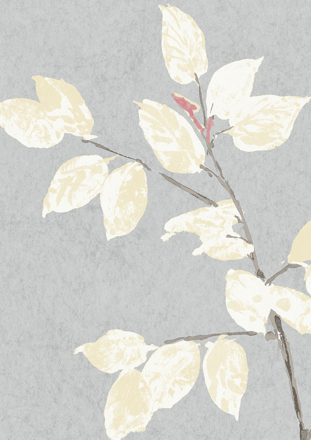 Beech Wallpaper - Dove