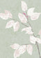 Beech Wallpaper - Jade
