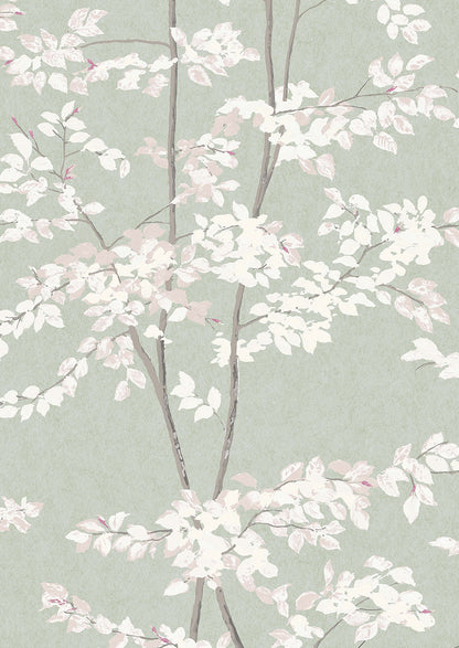 Beech Wallpaper - Jade