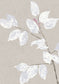 Beech Wallpaper - Linen