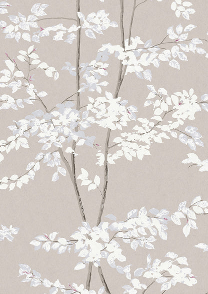 Beech Wallpaper - Linen