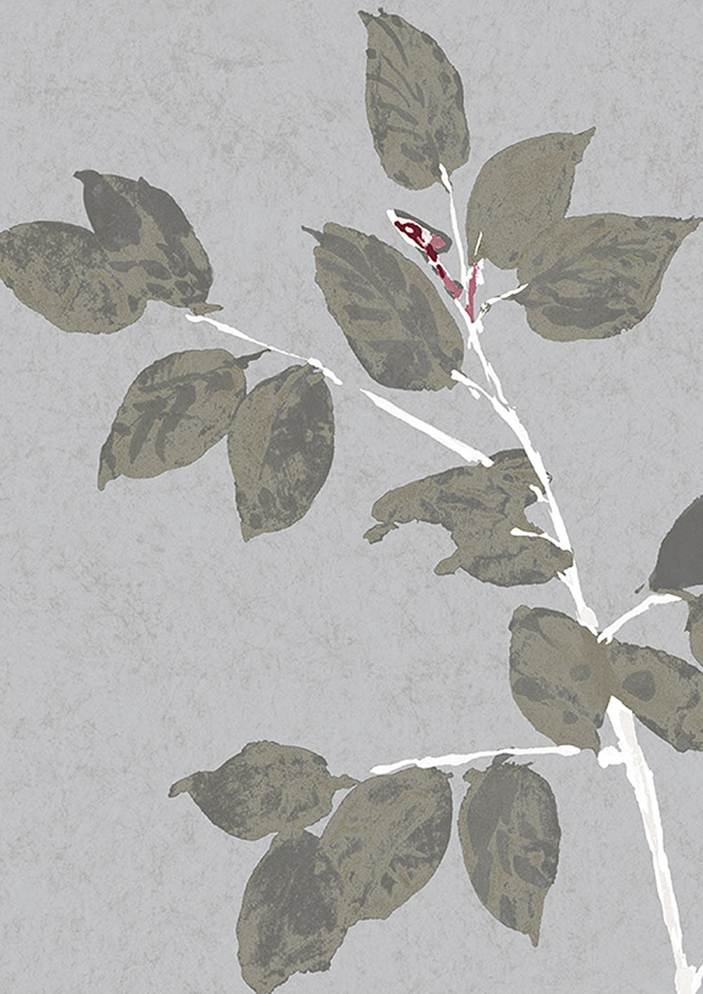 Beech Wallpaper - Silverstone