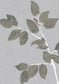 Beech Wallpaper - Silverstone