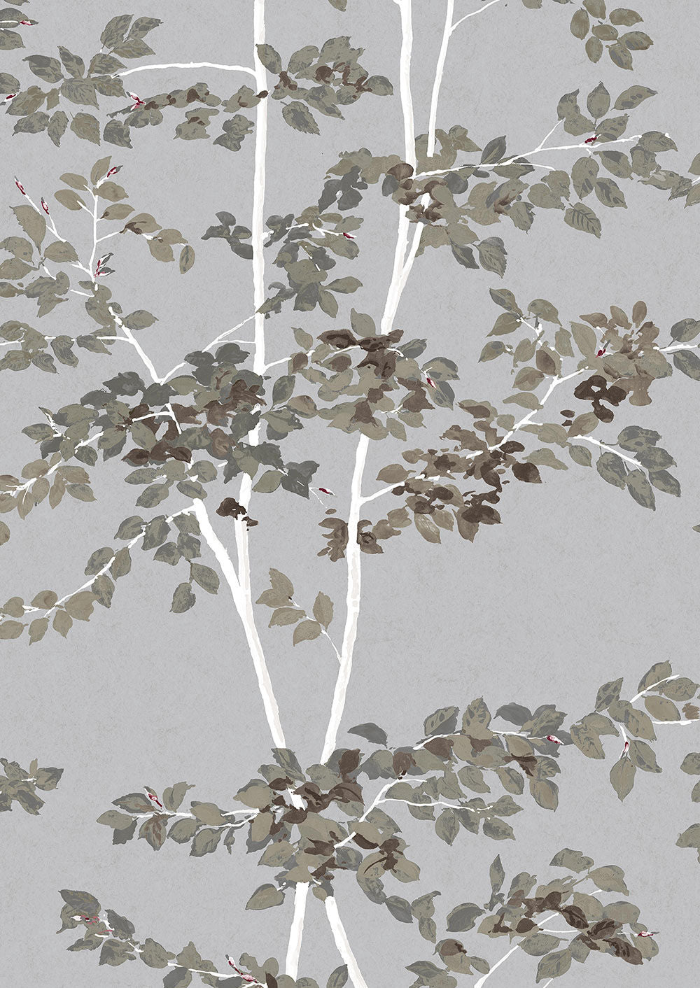 Beech Wallpaper - Silverstone