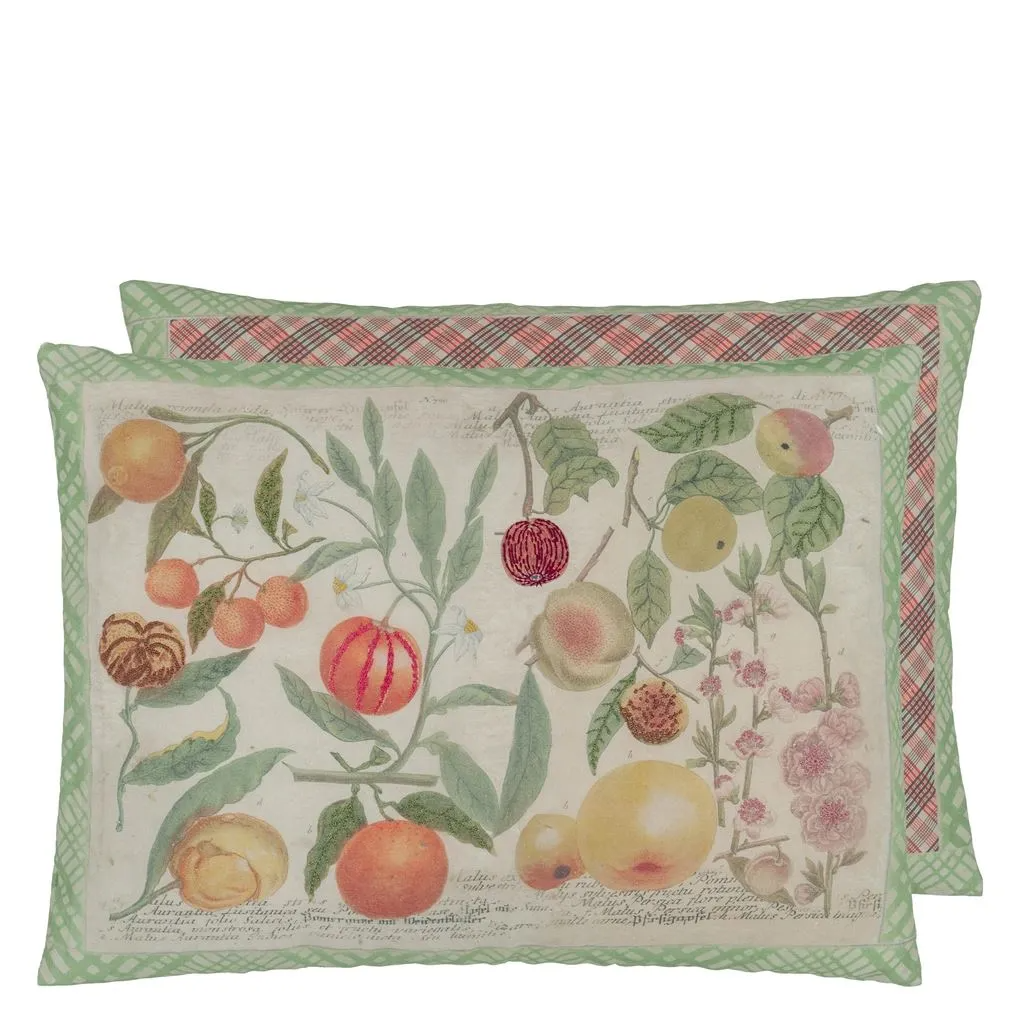 Oranges Canvas Cushion - Designers Guild