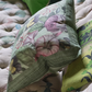 Botany Sage Cushion - Designers Guild