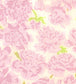 Peonies Fabric