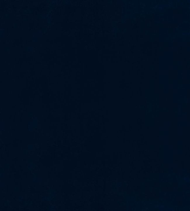 Inca Performance Velvet Fabric