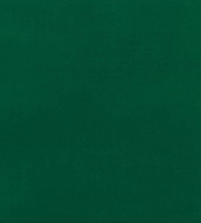 Inca Performance Velvet Fabric