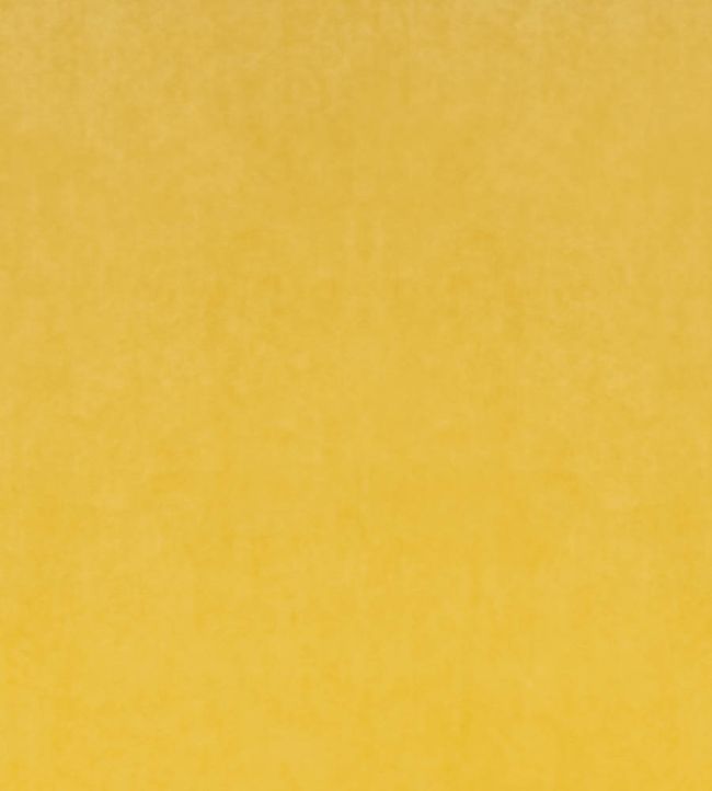 Inca Performance Velvet Fabric