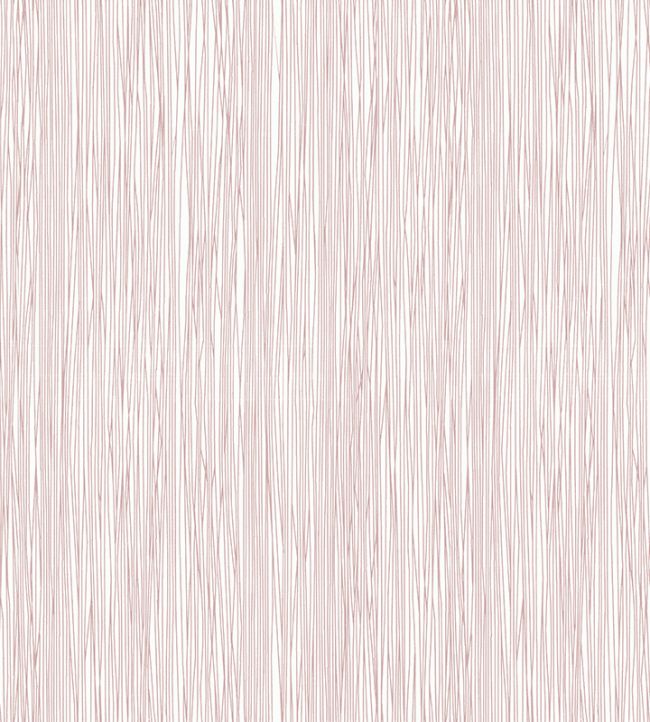 Birch Raffia Wallpaper