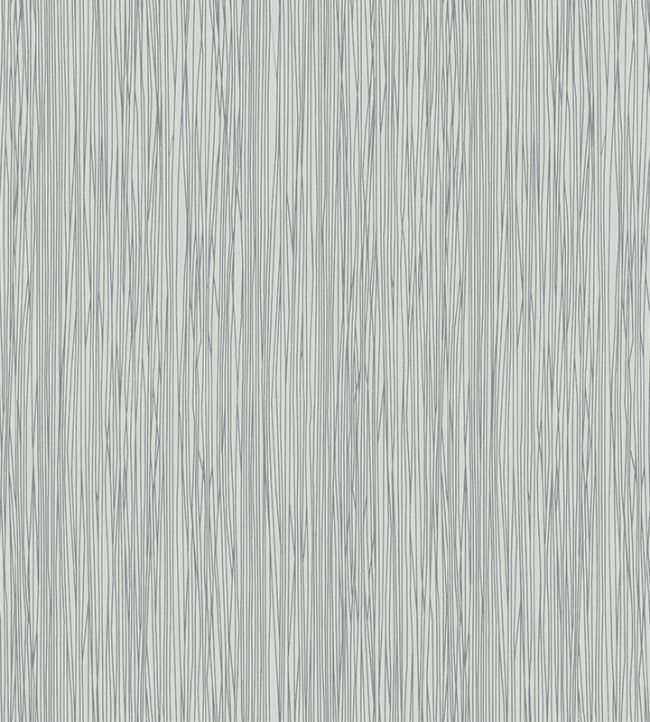 Birch Raffia Wallpaper