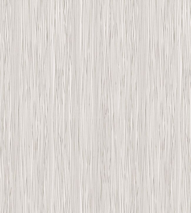 Birch Raffia Wallpaper