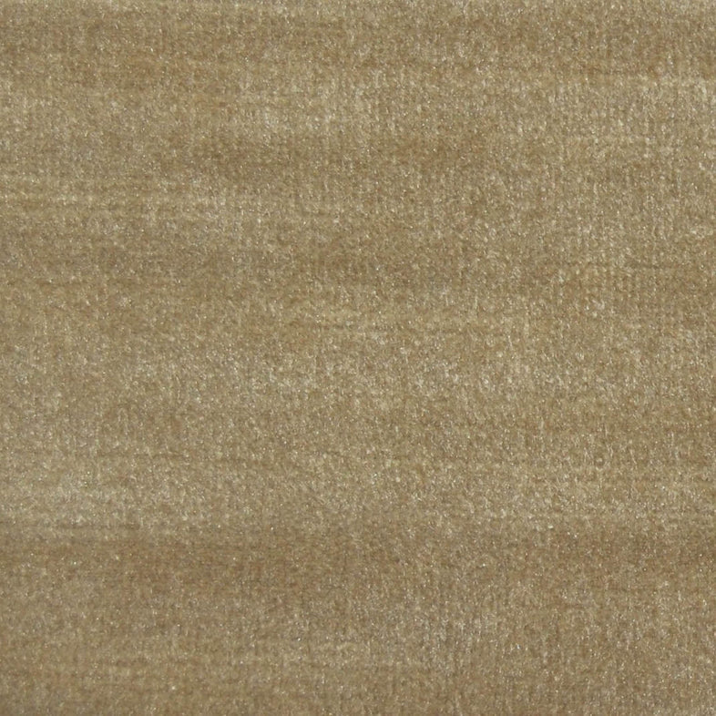 Chiaso Camel Fabric
