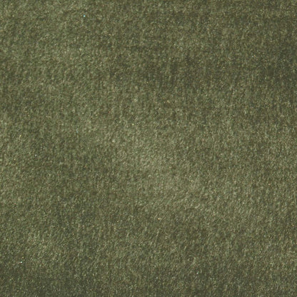 Chiaso Olive Fabric
