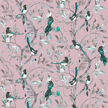 Collector Blush Fabric