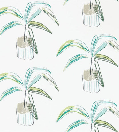 Crassula Wallpaper - Juniper / Lime - NZAW111993 - Scion