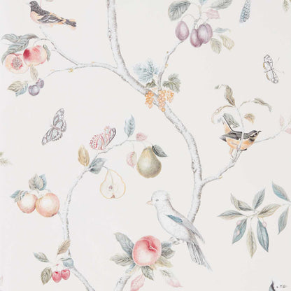 Fruit Aviary Wallpaper - Cream/Multi - DART216314