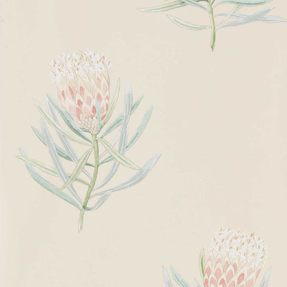 Protea Flower Wallpaper - Russet/Green - DART216329