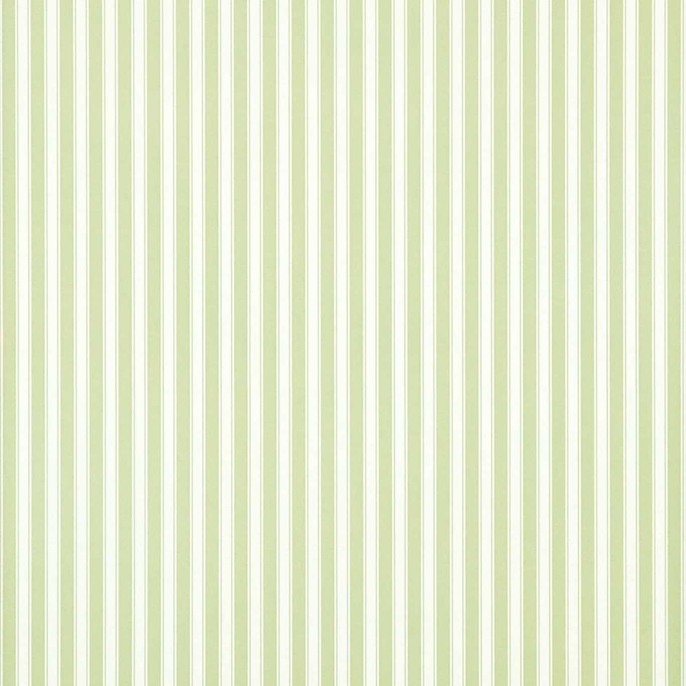 New Tiger Stripe Wallpaper - Leaf Green/Ivory - DCAVTP103