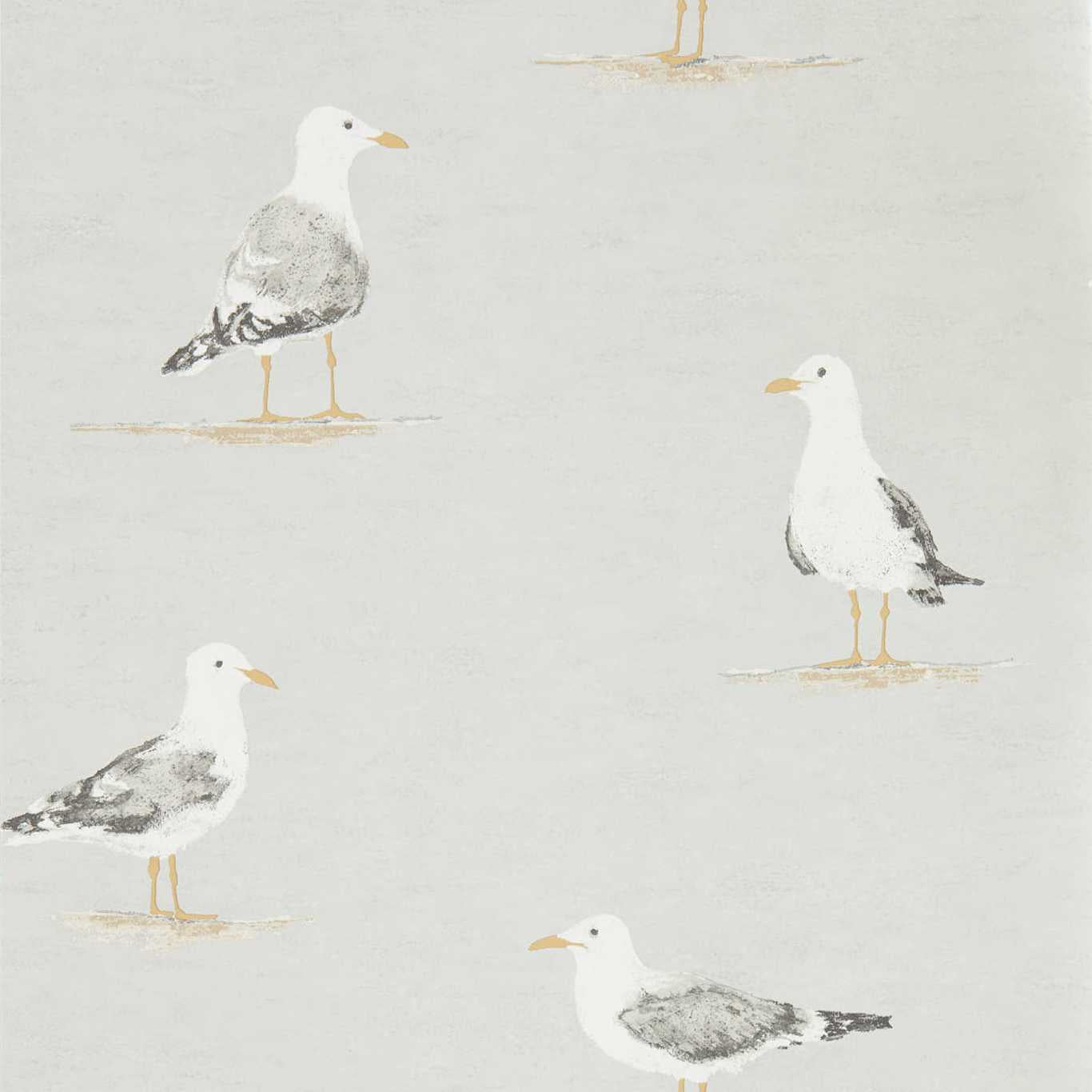 Shore Birds Wallpaper - Gull - DCOA216565