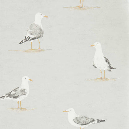 Shore Birds Wallpaper - Gull - DCOA216565