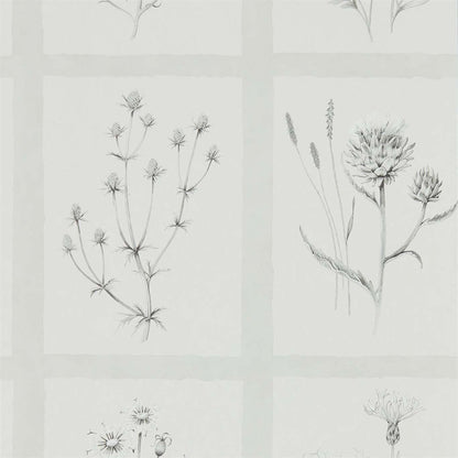 Little Thistles Wallpaper - Pewter - DEBB216512