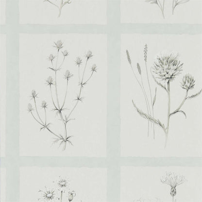 Little Thistles Wallpaper - Grey Blue - DEBB216513