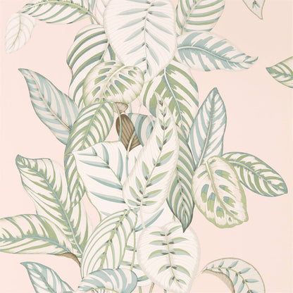 Calathea Wallpaper - Orchid/Eucalyptus - DGLW216632