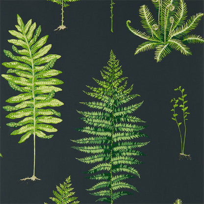 Fernery Wallpaper - Botanical Green/Charcoal - DGLW216634
