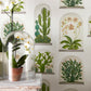 Terrariums Wallpaper - Botanical Green/Multi - DGLW216656