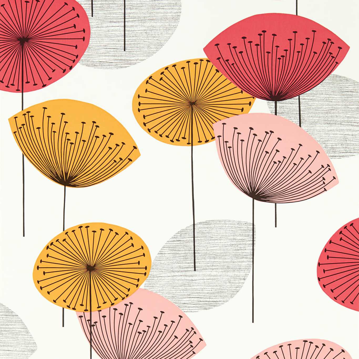 Dandelion Clocks Wallpaper - Coral - DOSW217030
