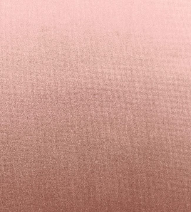 Downton Fabric - Pink