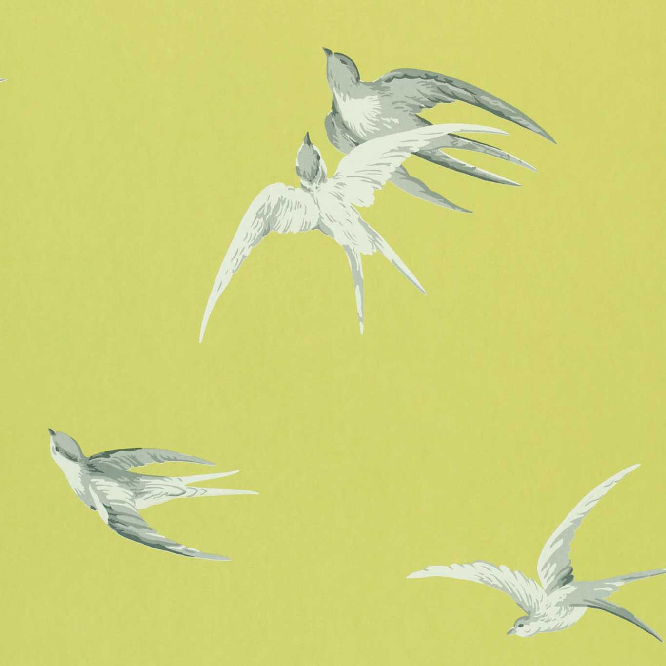 Swallows Wallpaper - Lime - DVIWSW101